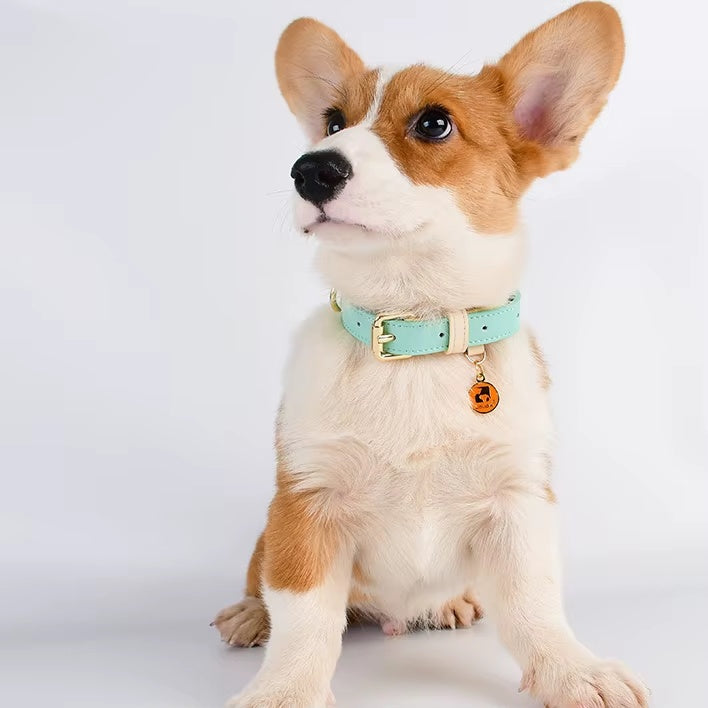 S M L Dog Collar, Leather Dog Collar, For Small, Medium, And Large Dogs, Basic Collar, Adjustable Pet Collar