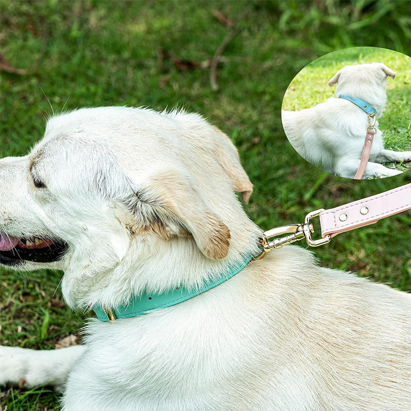 S M L Dog Collar, Leather Dog Collar, For Small, Medium, And Large Dogs, Basic Collar, Adjustable Pet Collar