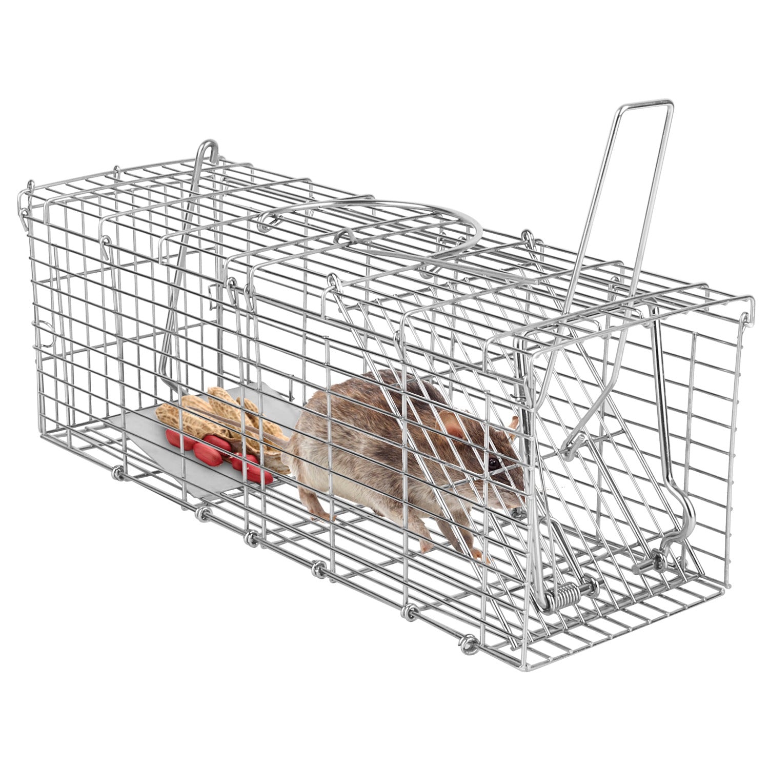 Humanized And Reusable Mouse Traps Are Safe And Suitable For Families, Children, Pets, And Easy To Install.
