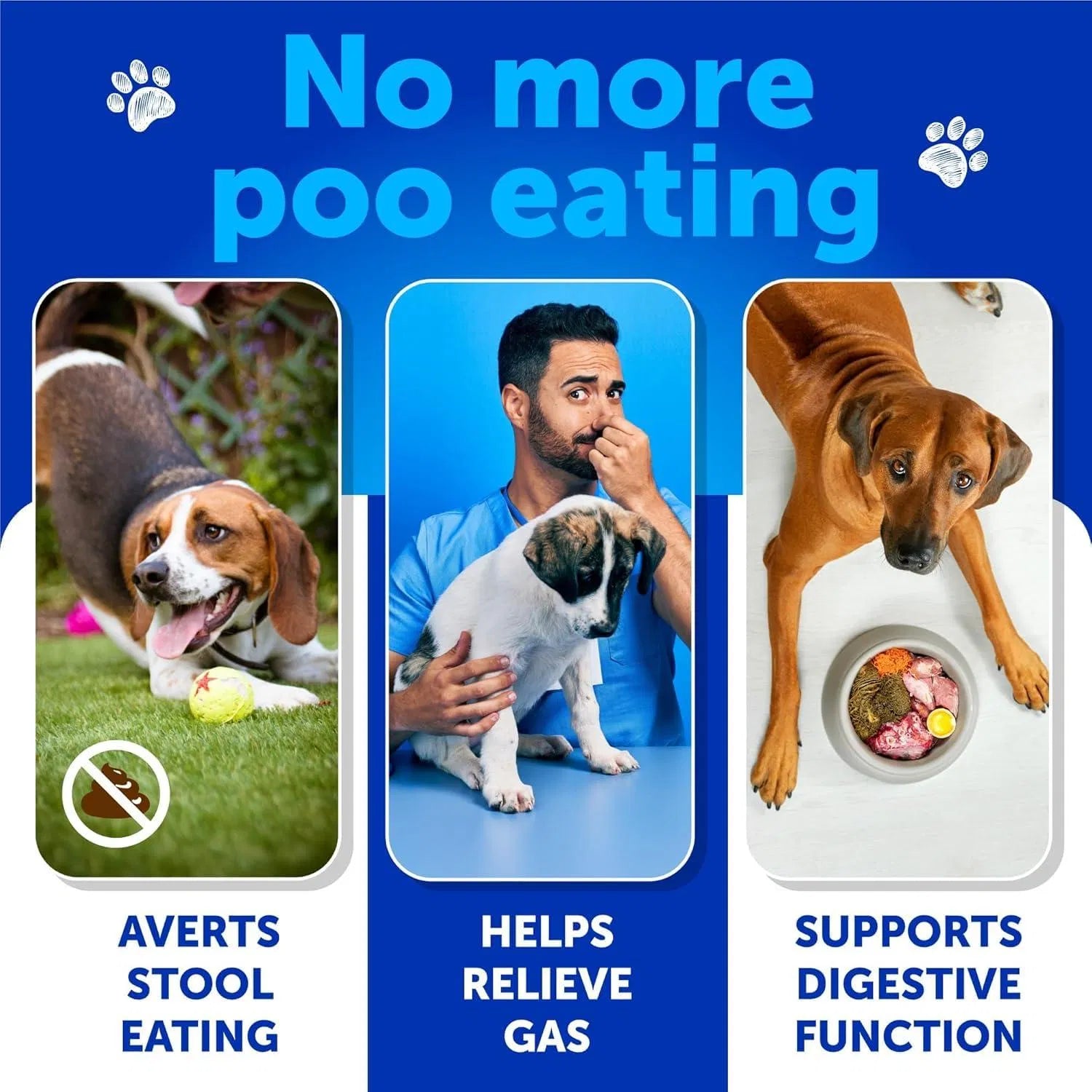 No Poo Chews For Dogs Puppy Coprophagia Stool Eating Deterrent Prevent Dog From Eating Poop Stop Eating Poop Treats With Probiotics & Enzymes Immune Digestive Gut Health Support Supplement