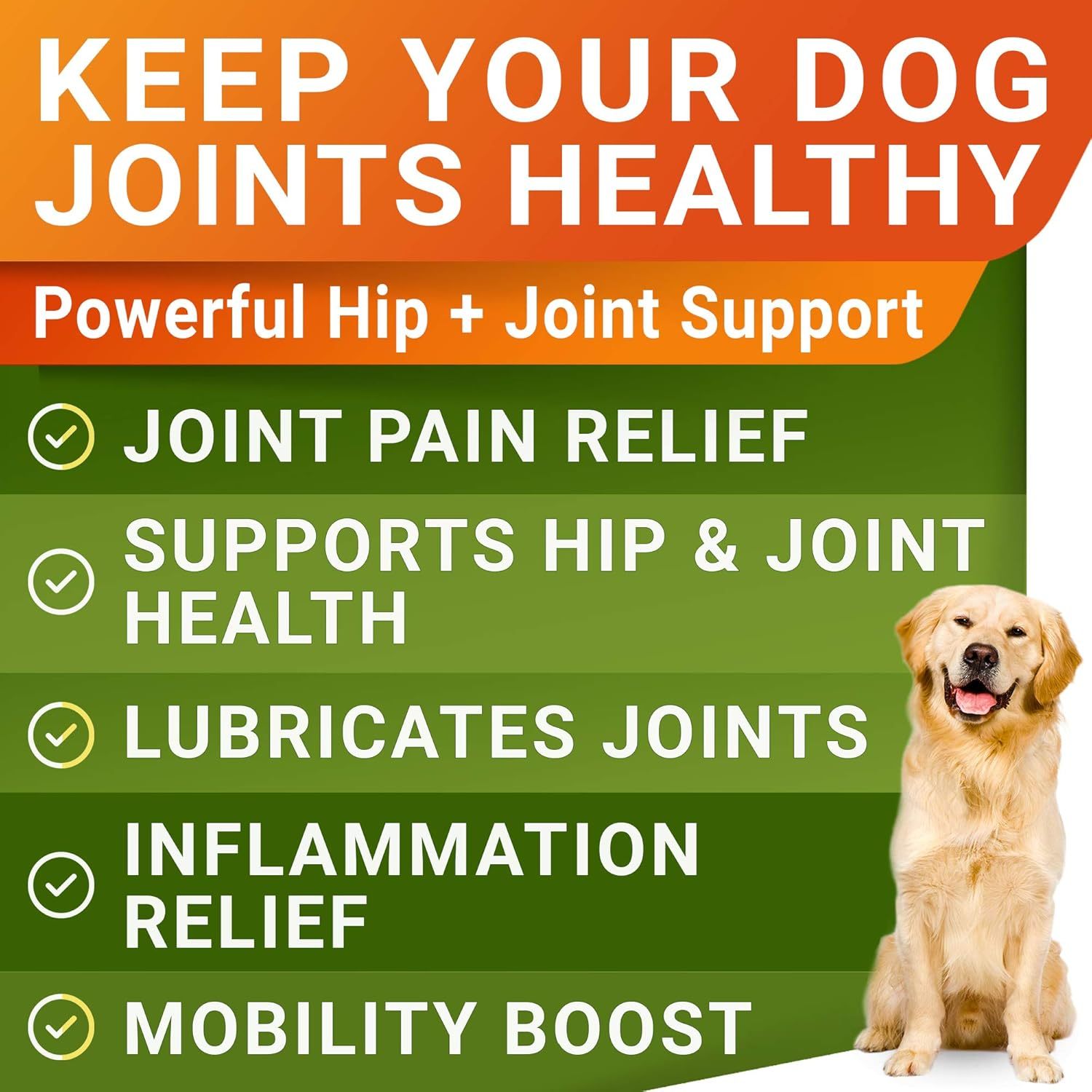 Youmile Hip & Joint Health Supplement For Dogs 120 Chews, Glucosamine Chondroitin MSM Dog Chews With Hyaluronic Acid, Liver Flavored Bone & Joint Support Supplement, For All Breeds