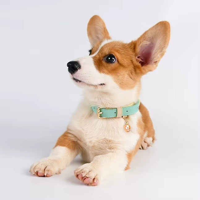 S M L Dog Collar, Leather Dog Collar, For Small, Medium, And Large Dogs, Basic Collar, Adjustable Pet Collar