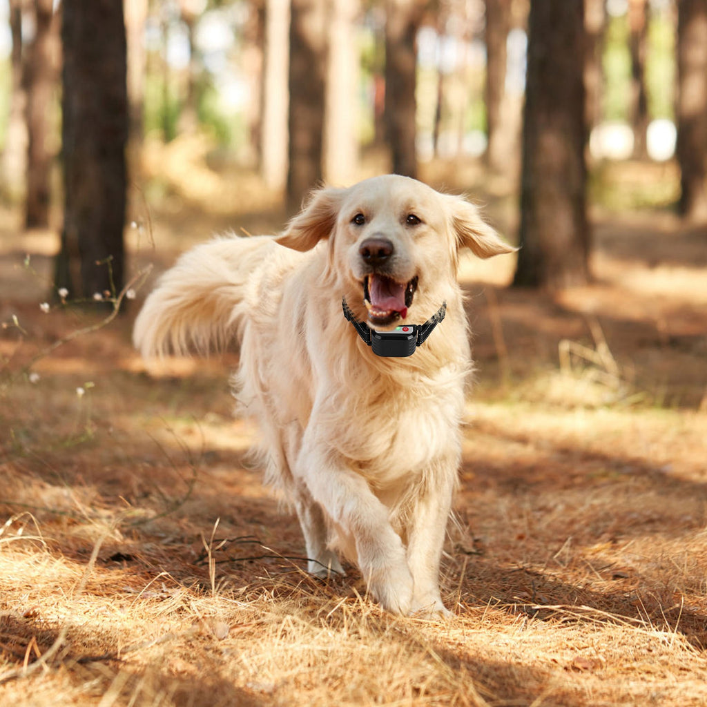 1Set 990FT Range Dog Wireless Fence Remote Training Collar IPX6 Waterproof Receiver With 0-9 Levels Beep Vibration Shock Mode 4 Channels Rechargeable Transmitter System
