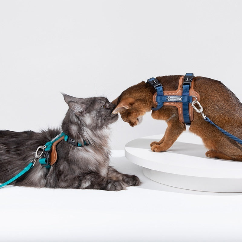 Cat Chest Back Haulage Rope Package I-shaped Vest Chest Back Pet Supplies