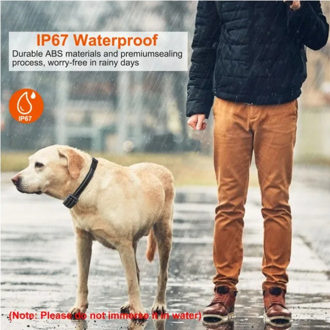 Dog Training Collar Receiver IP67 Waterproof