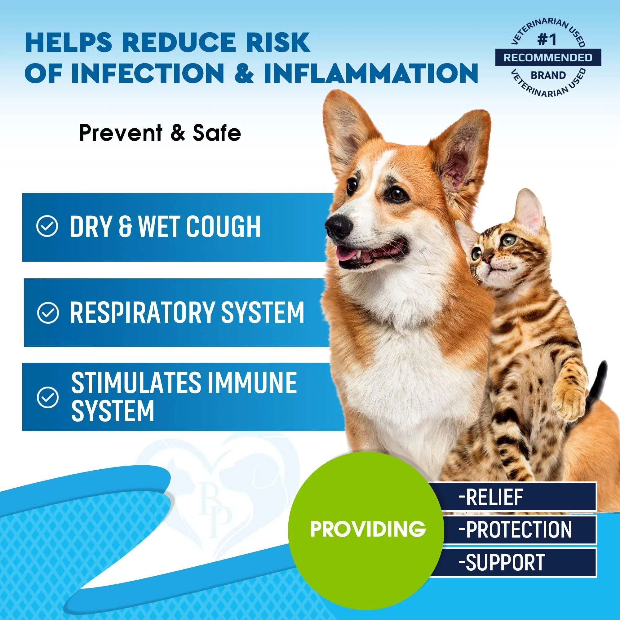 Kennel Cough Treatment Natural Infection Medicine For Dogs And Cats Respiratory Colds Cough Relief Collapsed Trachea And Cat Asthma Support