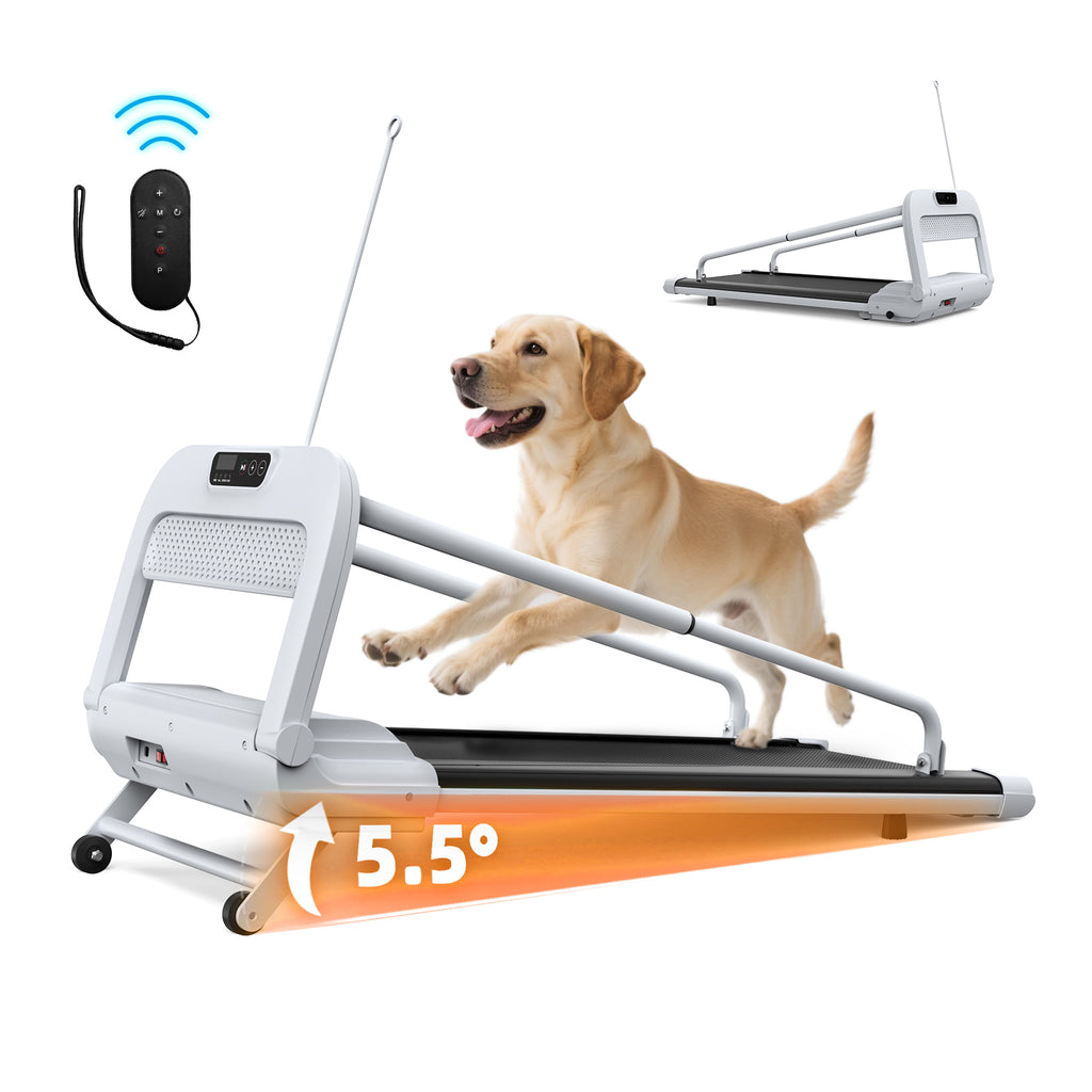 2025 New Quiet Smart Pet Treadmill, Adjustable Speed, Perfect For Small Medium Dogs