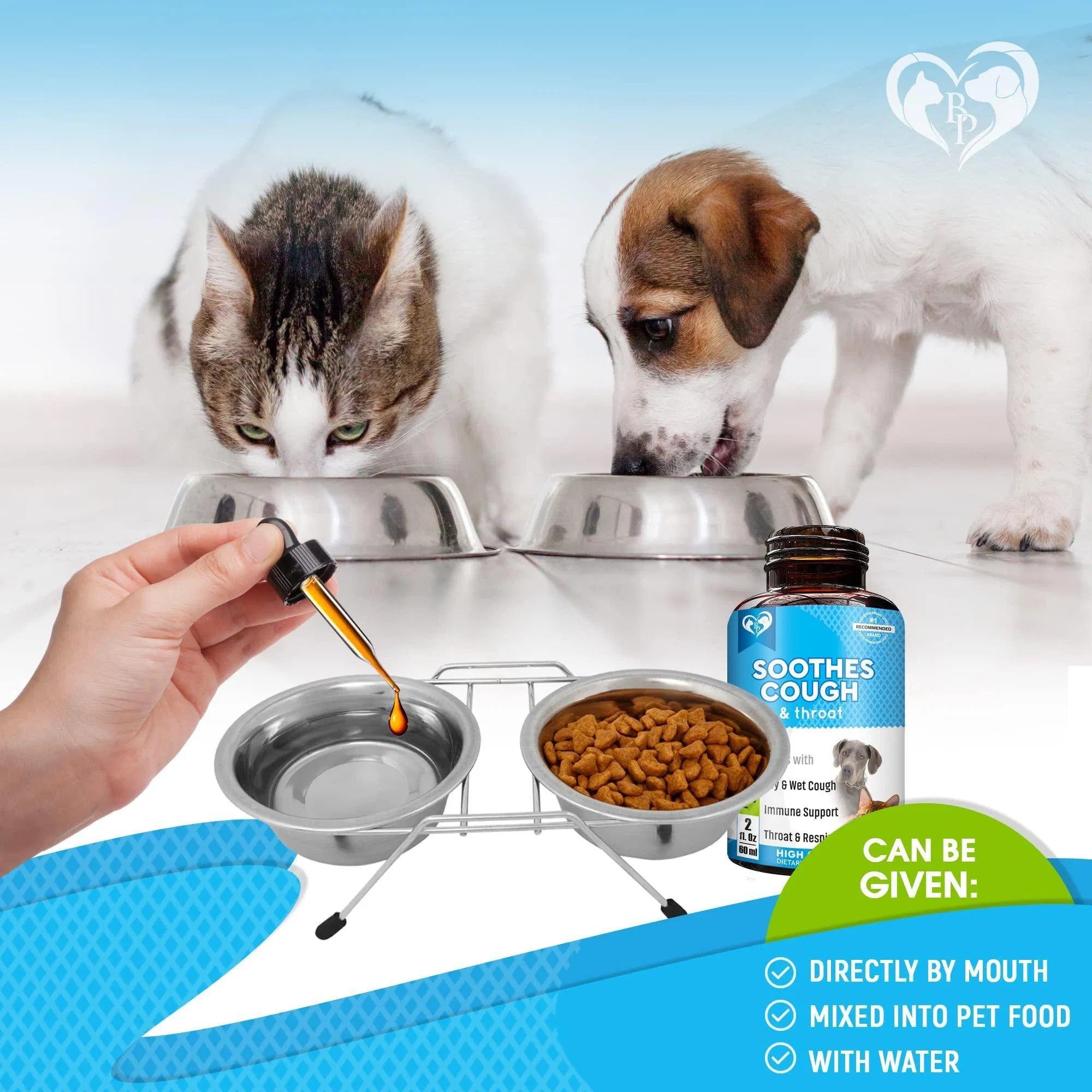 Kennel Cough Treatment Natural Infection Medicine For Dogs And Cats Respiratory Colds Cough Relief Collapsed Trachea And Cat Asthma Support